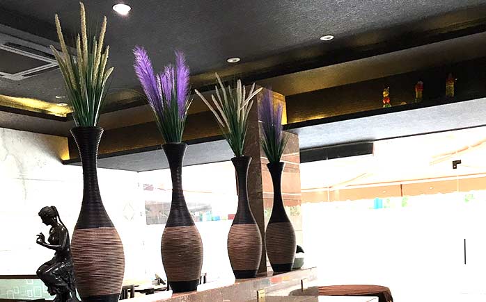 Hotel Surya